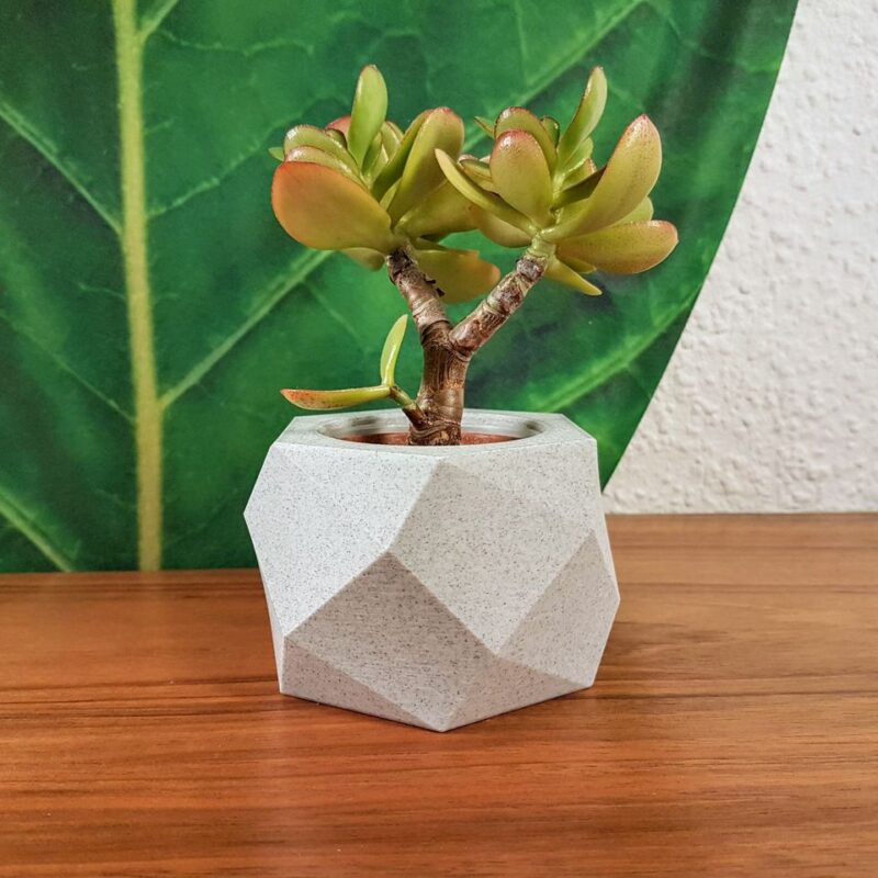 Blok Desenli Skulent Saksısı 8 cm