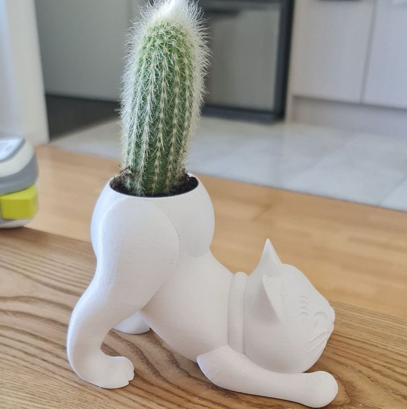 Eğilen Kedi Kaktüs Skulent Saksısı 10 cm