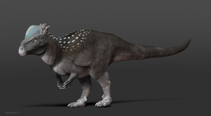 Pachycephalosaurus Figürü