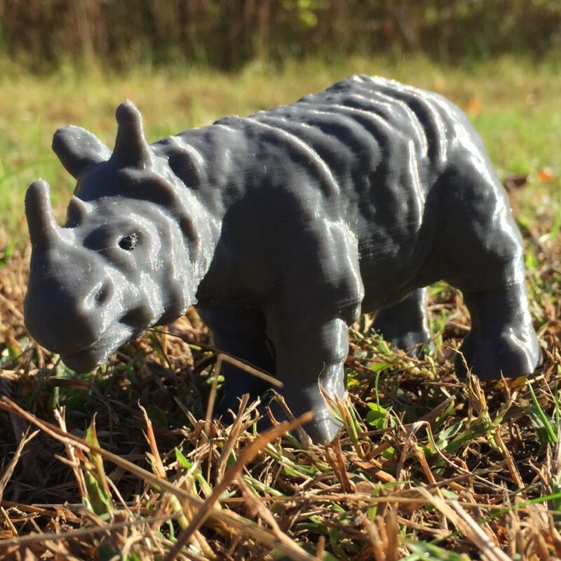 Rhinoceros Gergedan Dekoru