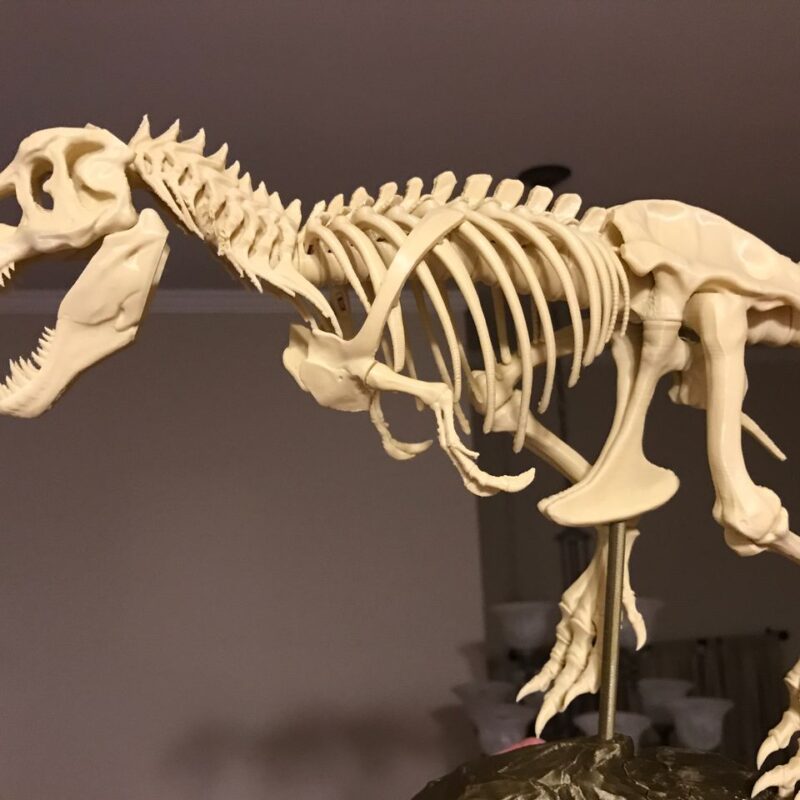 T-Rex İskeleti Büyük Dinazor İskeleti 20 cm