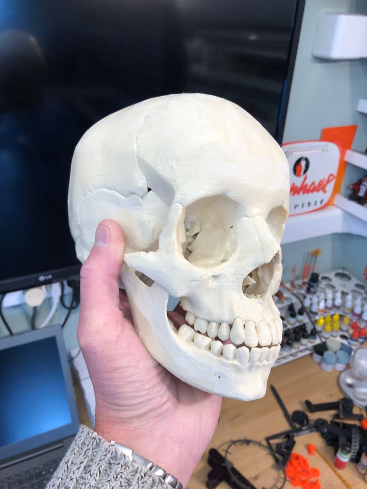 İnsan Kafatası Kurukafası Dekoru 18 cm