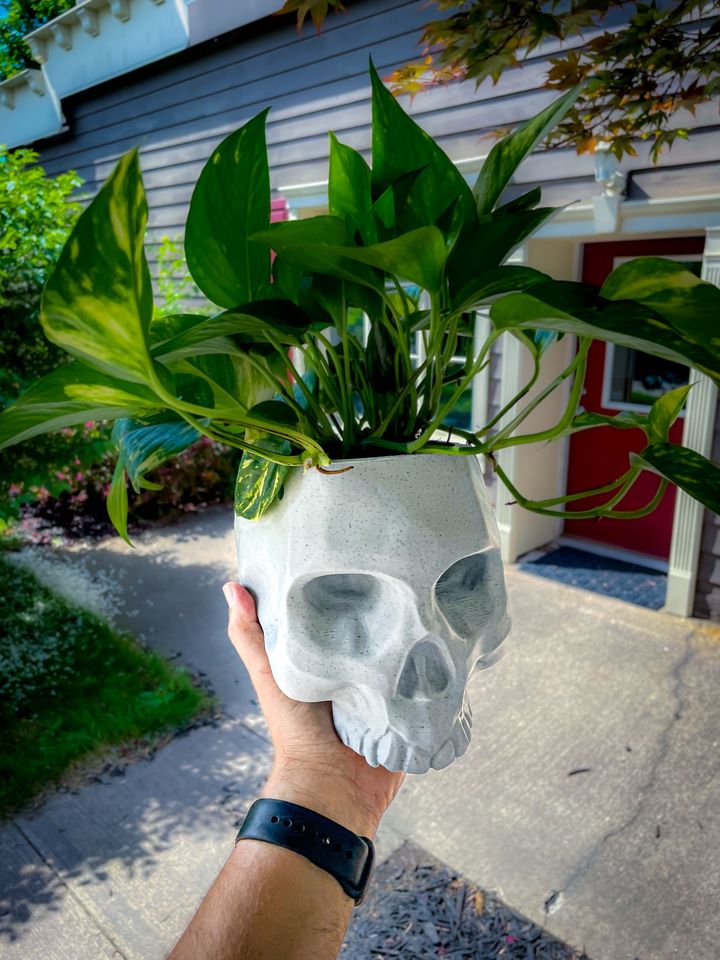 Skull-Shaped Flower Pot 14 cm
