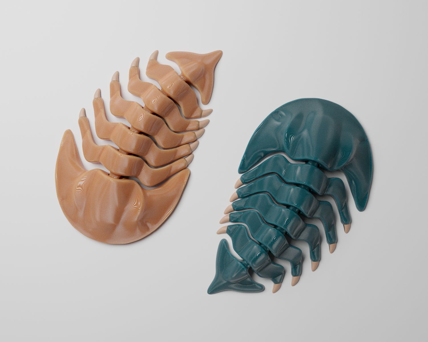 Trilobite Decor 11 cm