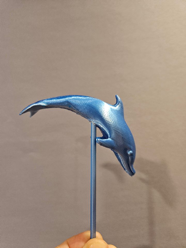 Dolphin Decor on Bust 14 cm