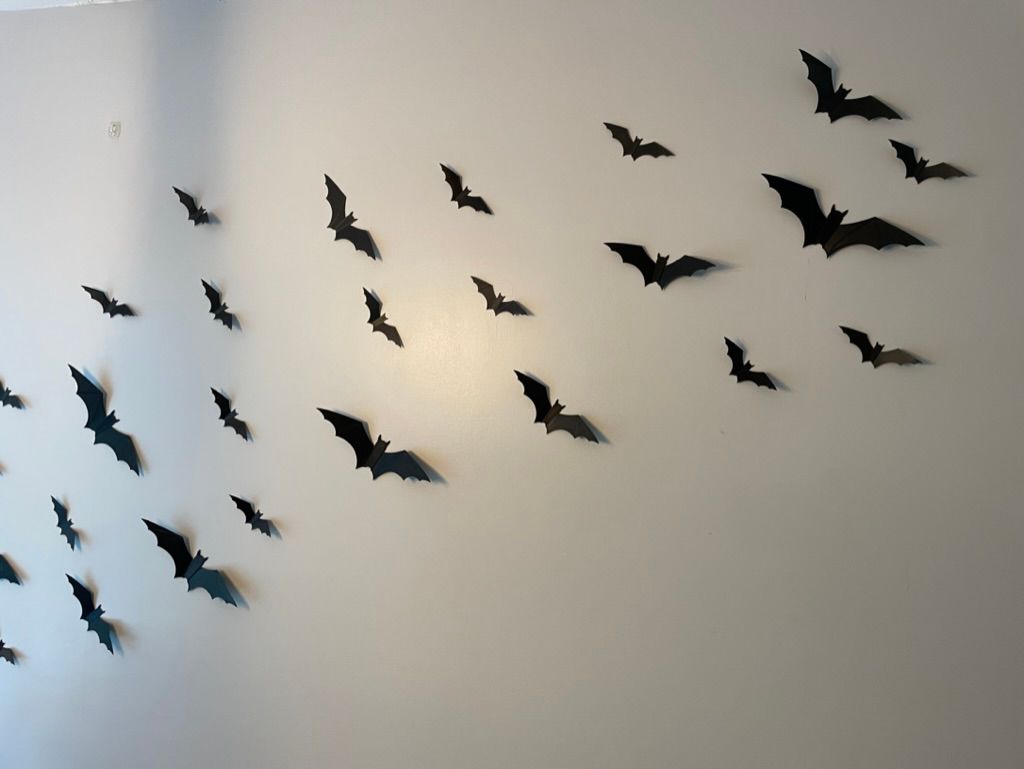 15 Pièces Décoration Murale Chauve-Souris 10 cm pour Votre Mur