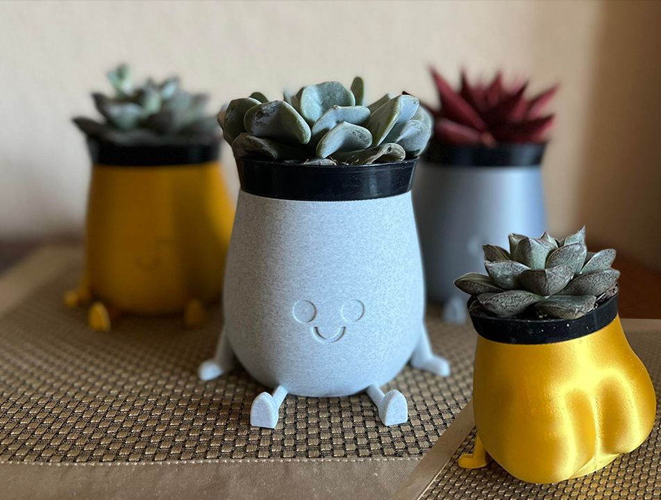 Pot de Succulent Visage Souriant avec Hanches 10 cm