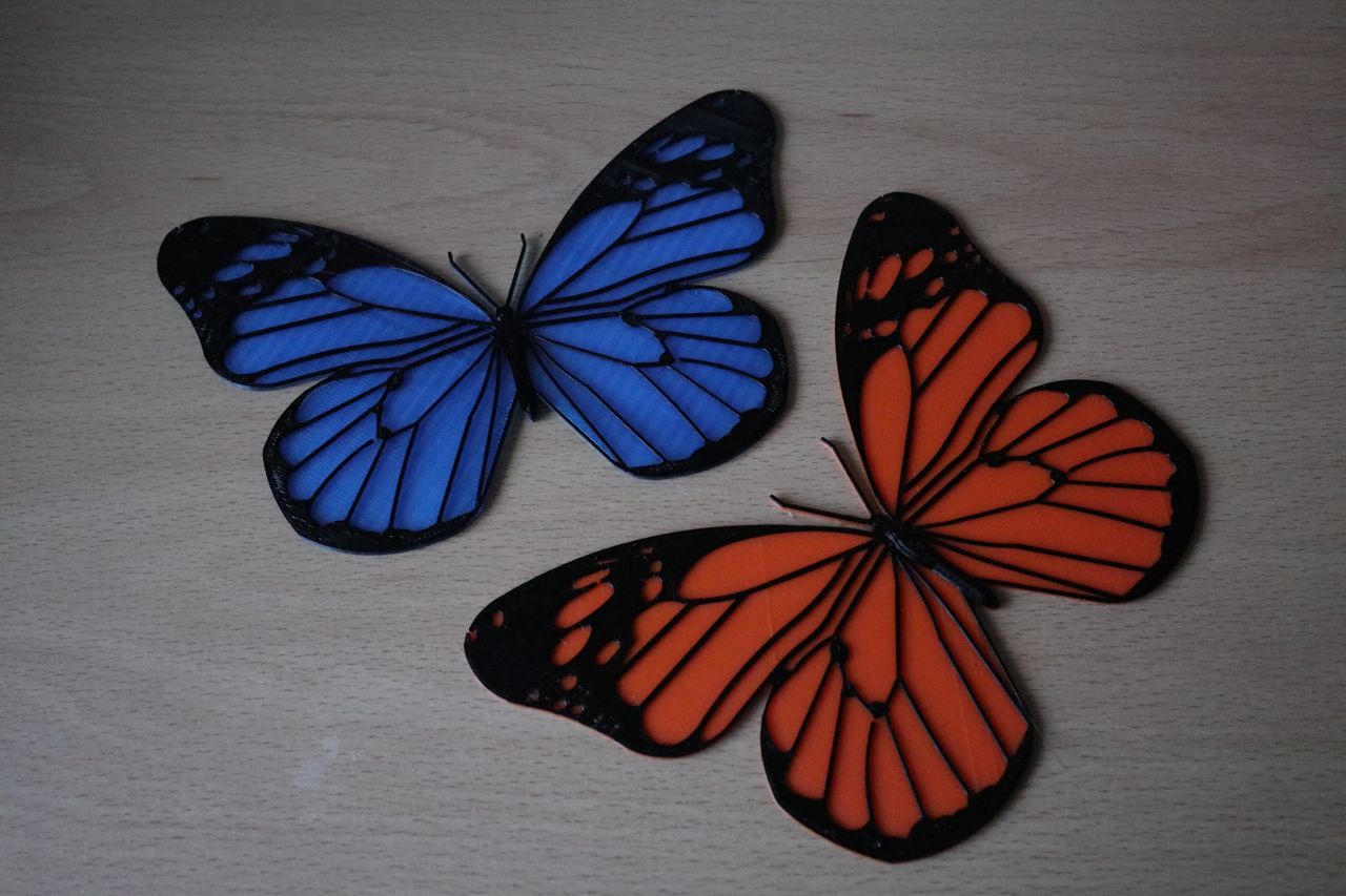 Décoration Papillon Bicolore 10 cm