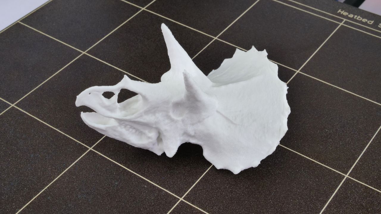 Triceratops Kafası Dekoru 15 cm