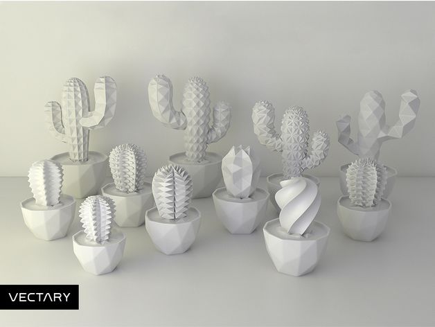 10 Piece Paintable Succulent Collection 8 cm