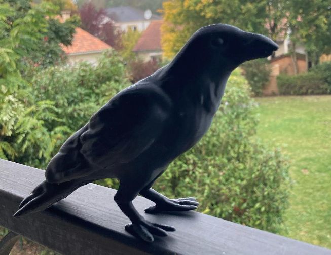 Schwarze Krähen-Dekoration 17 cm