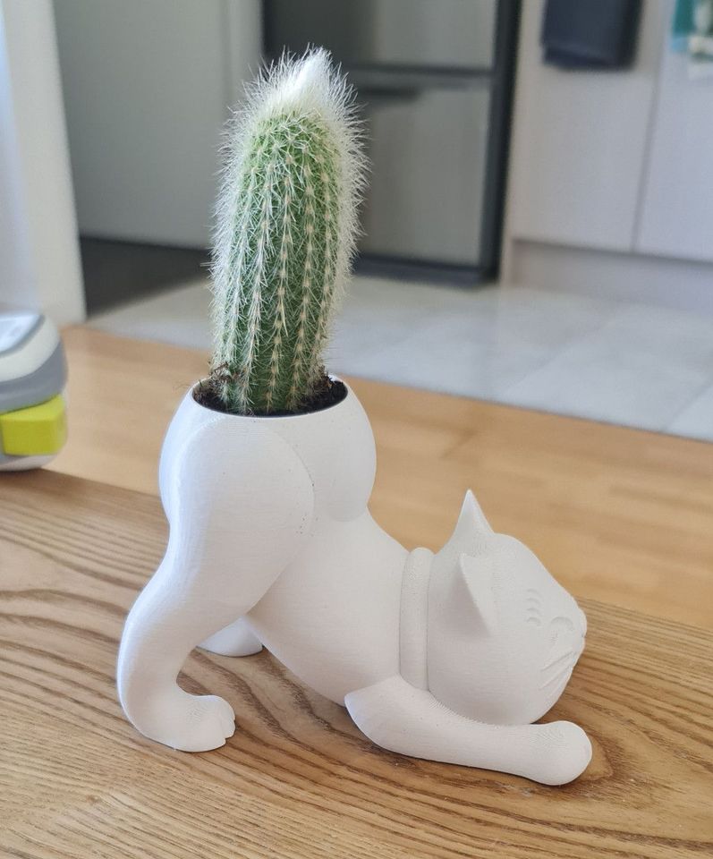 Eğilen Kedi Kaktüs Skulent Saksısı 10 cm