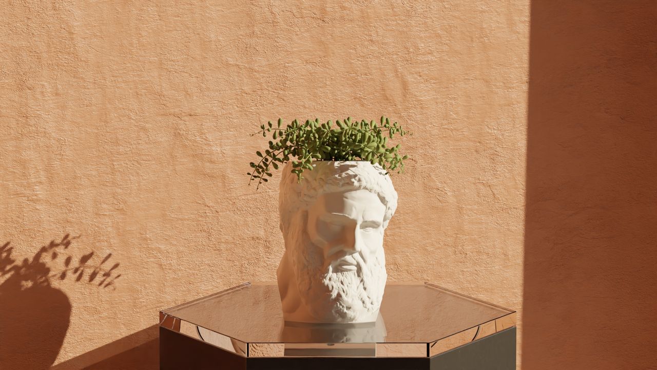 Pot de Succulent Hercule 11 cm