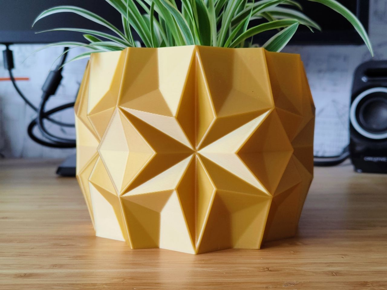 Kış Yıldızı Desenli Çiçek ve Skulent Saksısı 8 cm