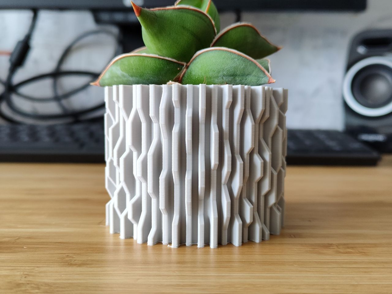 Dikey Aralıklı Dalgalı Skulent Saksısı 8 cm