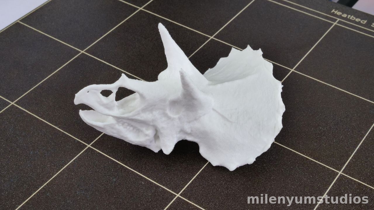 Décoration Tête de Triceratops 15 cm
