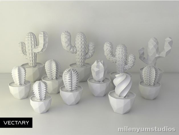 Collection de 10 Pièces Succulentes Peignables 8 cm