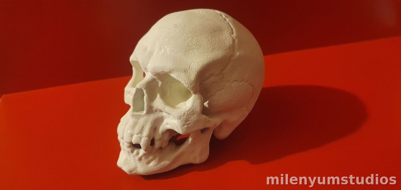 Dickzahniger Totenkopf Schädel Dekor 16 cm