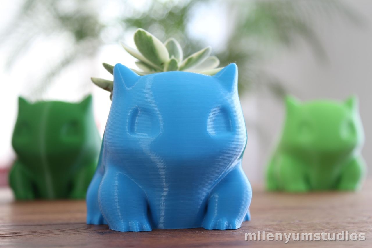 Pot de Succulent Lézard Feuillu 7 cm