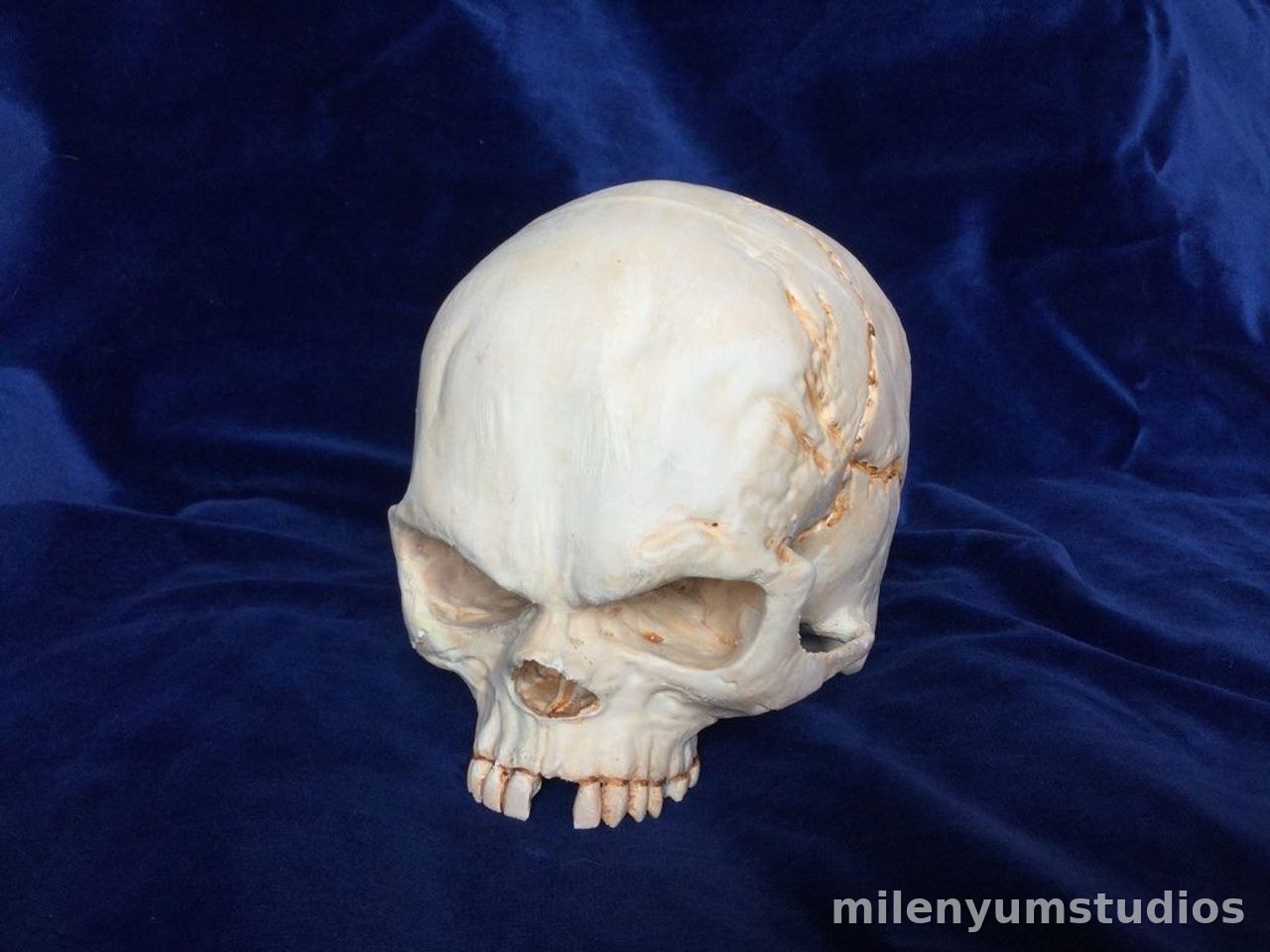 Fantastisch Schauriger Totenkopf Schädel 17 cm
