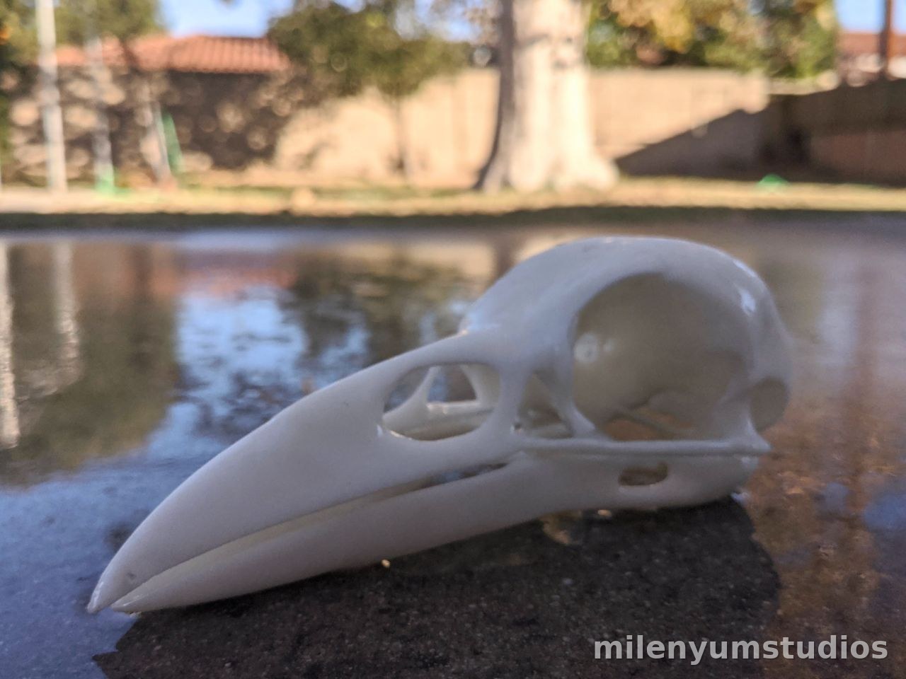 Standard Raven Skull Decor 11 cm