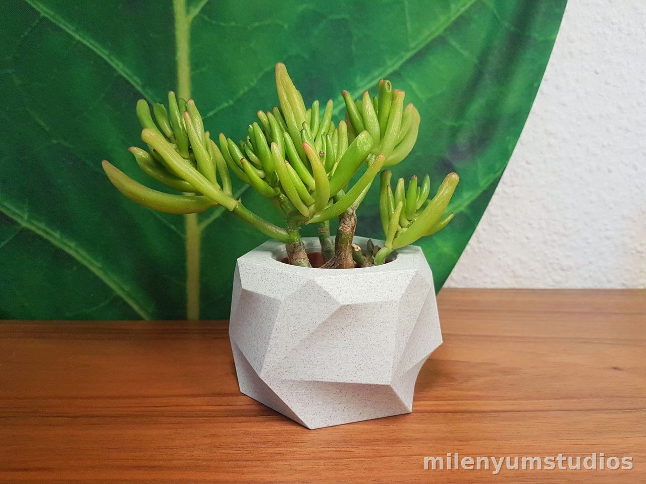 Blok-Blumentopf 10 cm